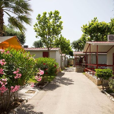 Villaggio Albergo Cervo Zapponeta Extérieur photo