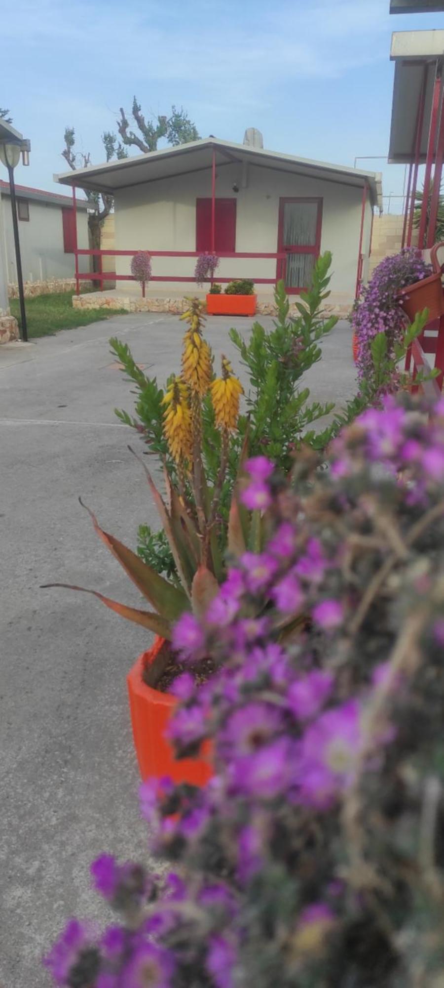 Villaggio Albergo Cervo Zapponeta Extérieur photo